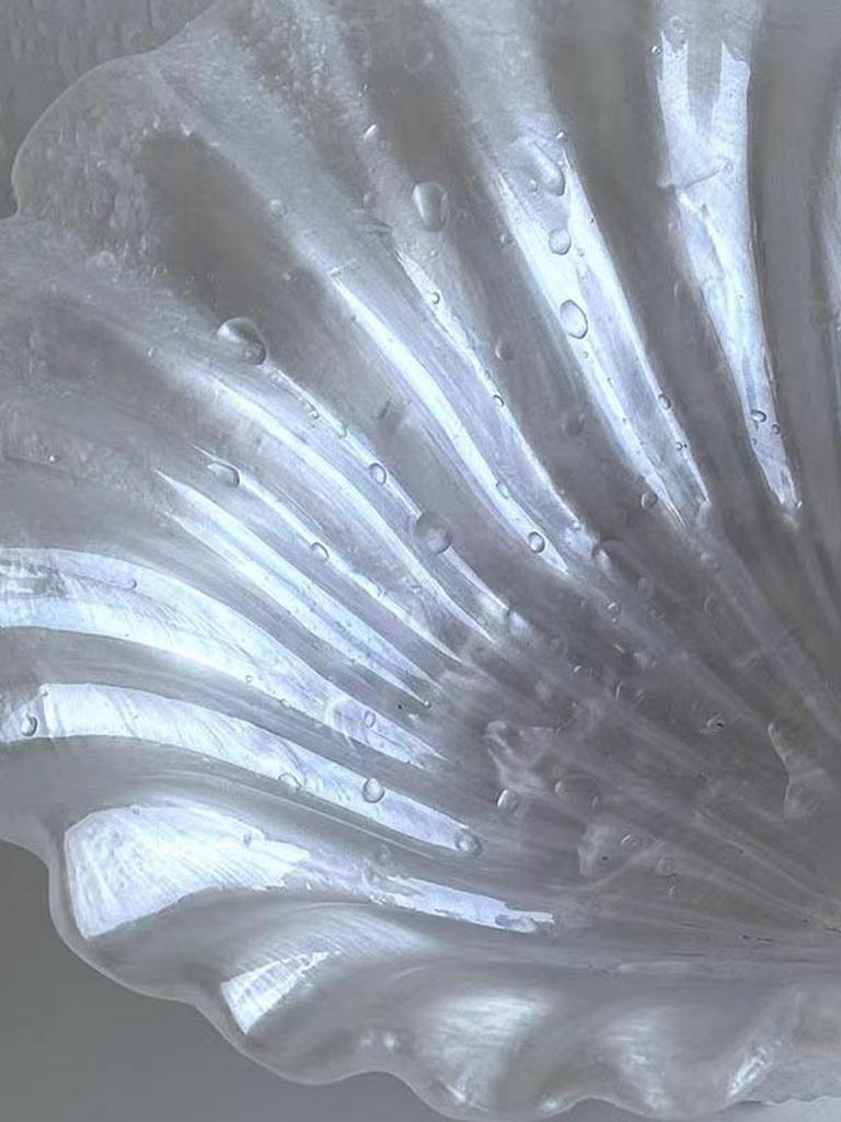 Coastal Shell Shaped Jewelry Storage