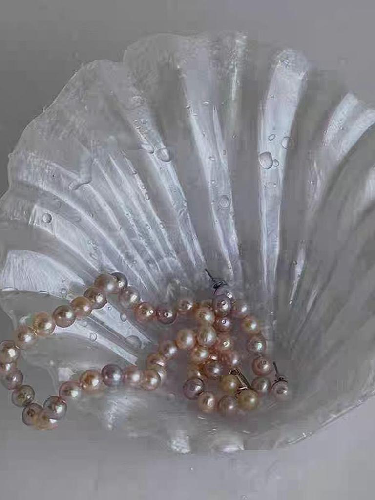 Coastal Shell Shaped Jewelry Storage