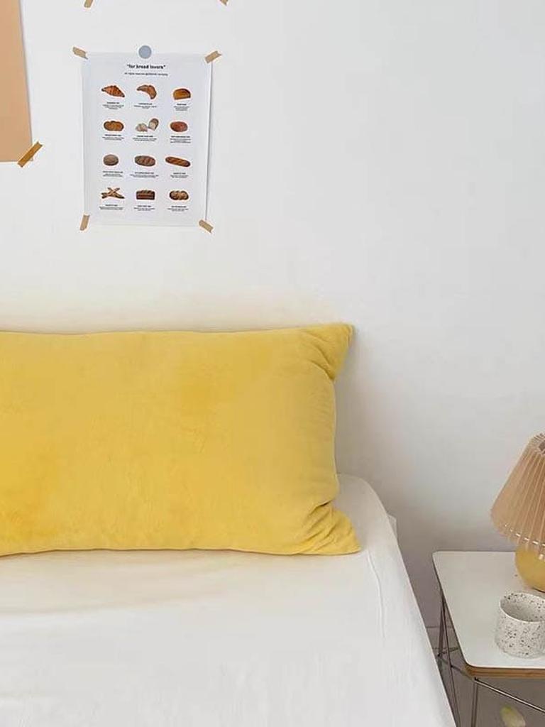 Lush Velvet Pillow Covers