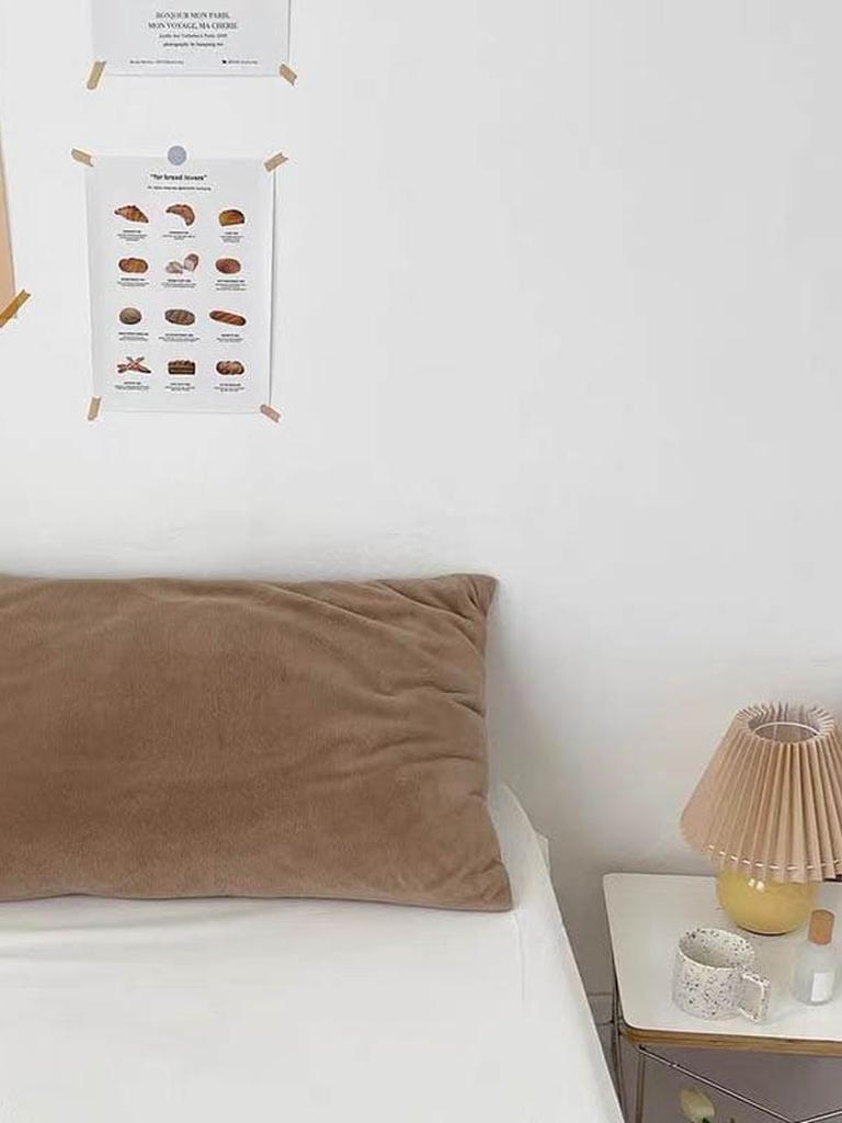 Lush Velvet Pillow Covers