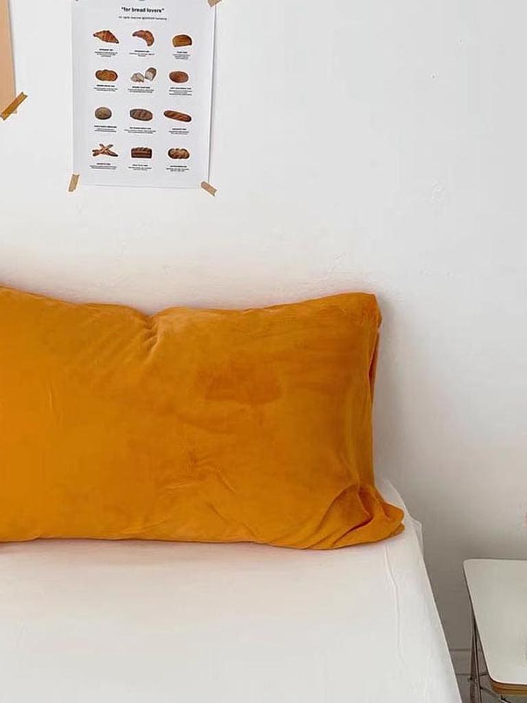 Lush Velvet Pillow Covers