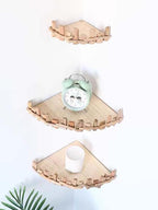 Rustic Style Wood Floating Shelf